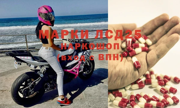 spice Богородицк