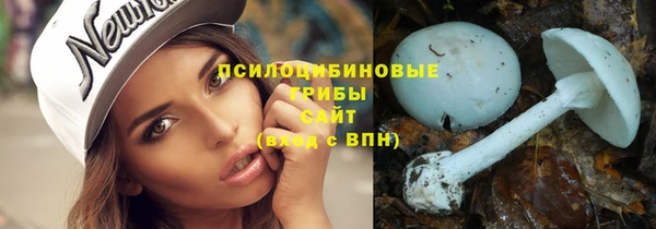мдпв Богородск