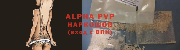 spice Богородицк