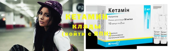 spice Богородицк
