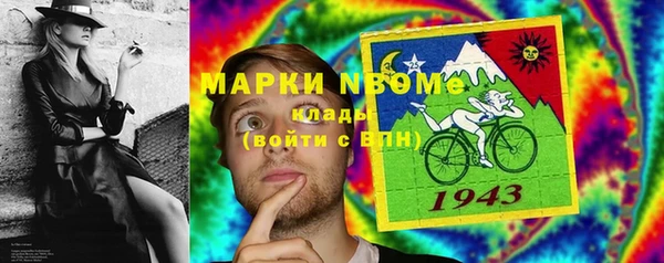 мдпв Богородск