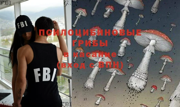 стаф Бугульма