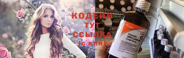 spice Богородицк