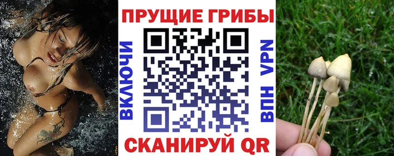Псилоцибиновые грибы ЛСД  Новочебоксарск 
